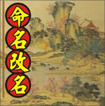 命名改名